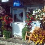 Flowers At Our Office Entrance