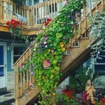 Flowers And Stairs To Second Floor