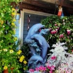 Dolphins In Our Flower Garden